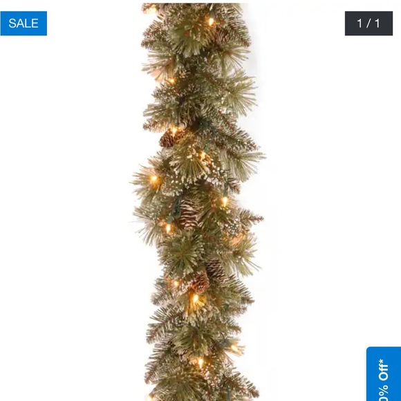 National Tree Company 9 ft. Bristle Pine Glittery Garland Clear Lights - Picture 1 of 2